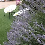 Le Manoir De L'antiquite Hotel 3*