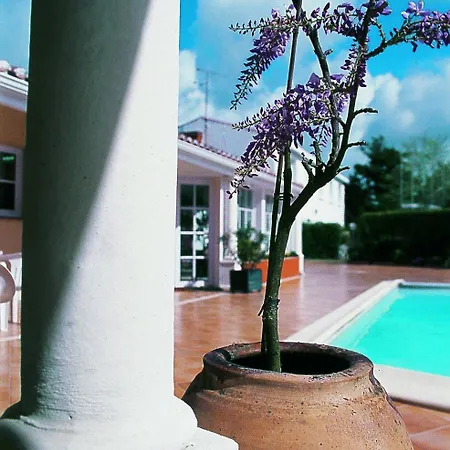 Le Manoir De L'antiquite