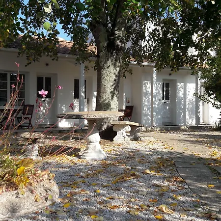 Le Manoir De L'antiquite Hotel Challans