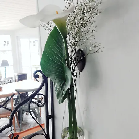 Hotel Le Manoir De L'antiquite Challans