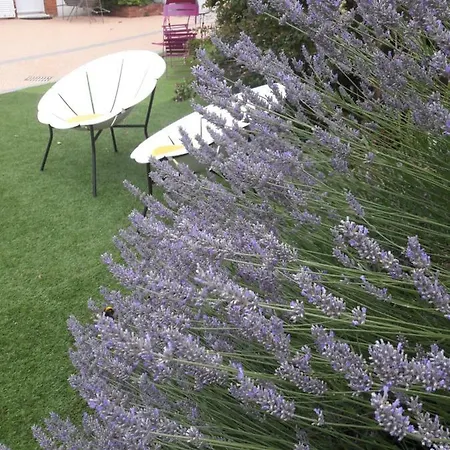 Le Manoir De L'antiquite Hotel 3*