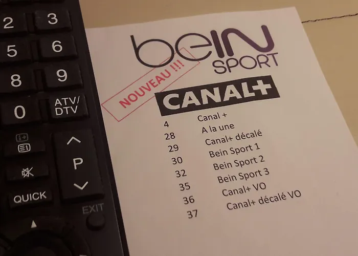 Le Manoir De L'antiquite Hotel