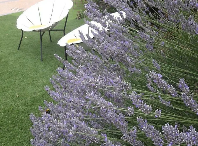 Le Manoir De L'antiquité Hotel 3*